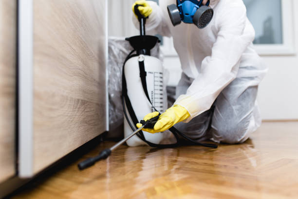 Best Termite Control Services  in O, MI