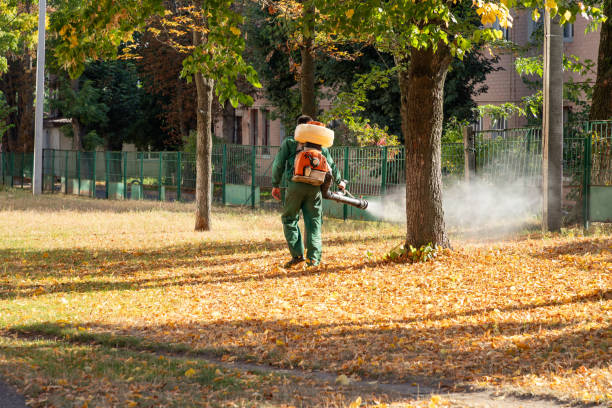 Best Flea Control Services  in O, MI