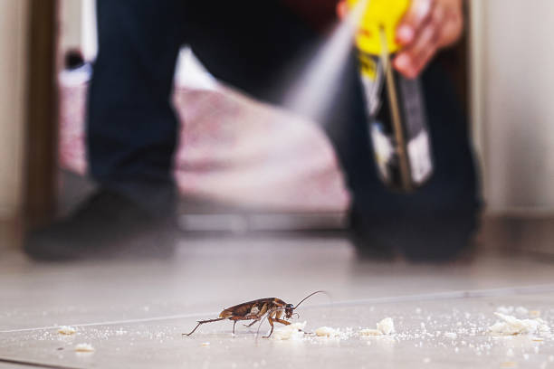 Best Pest Inspection Near Me  in O, MI