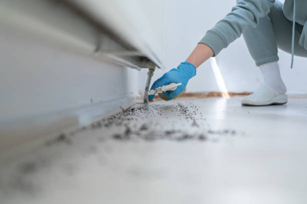 Best Affordable Pest Control Services  in O, MI